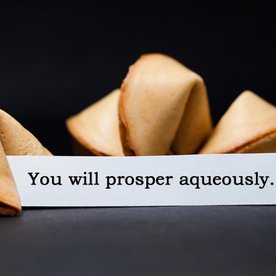 fortunecookie copy.jpg